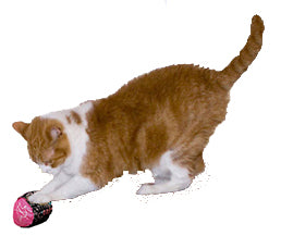 Organic Catnip Toy - Cylinder Ball