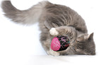 Organic Catnip Toy - Cylinder Ball